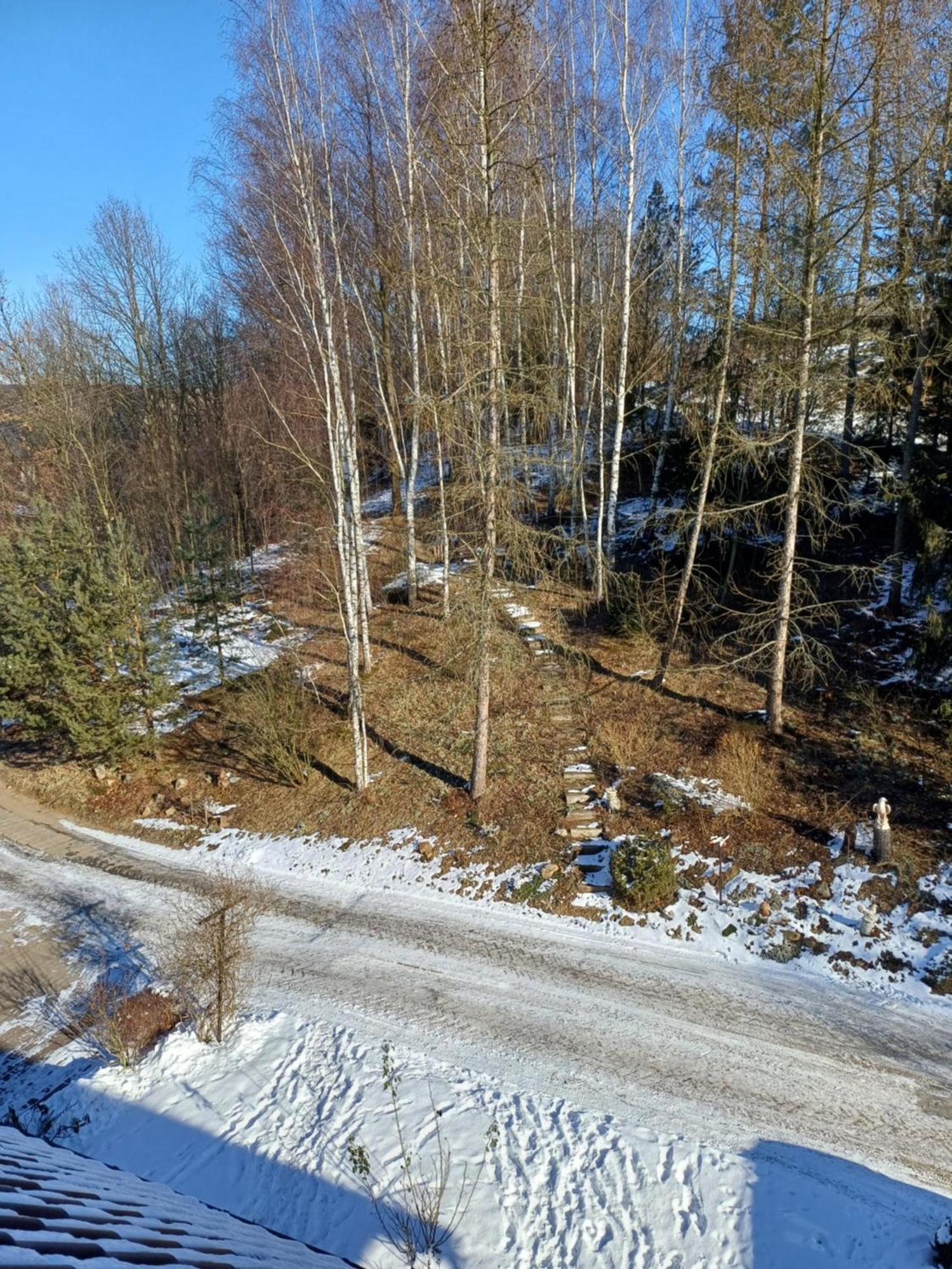 Agroturystyka Brzozowe Wzgorze Wlen Exteriör bild
